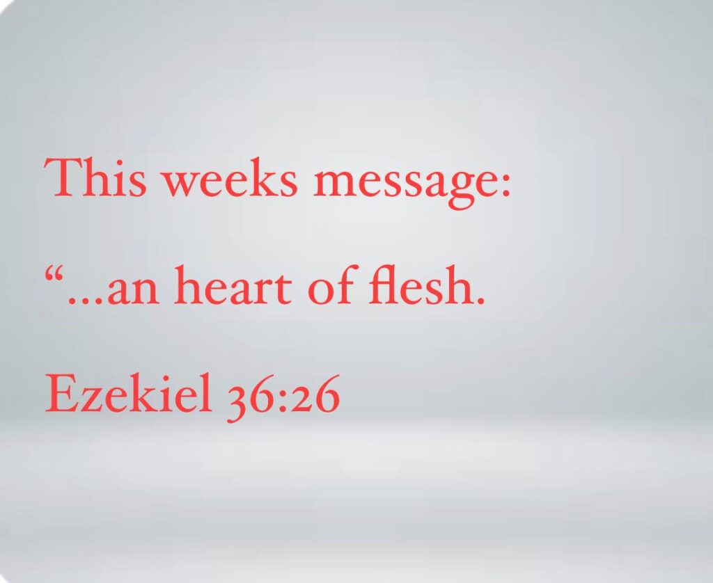 … an Heart of Flesh